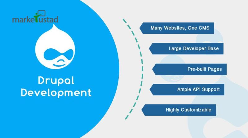 How to Choose the Right Drupal Development Company