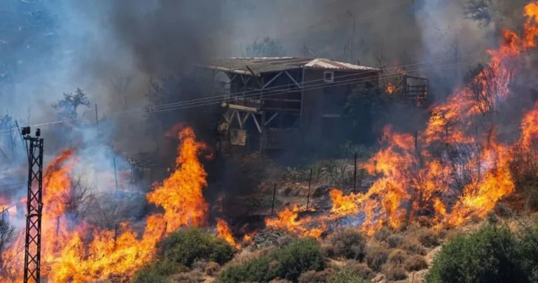 forest fire rages in Turkiye